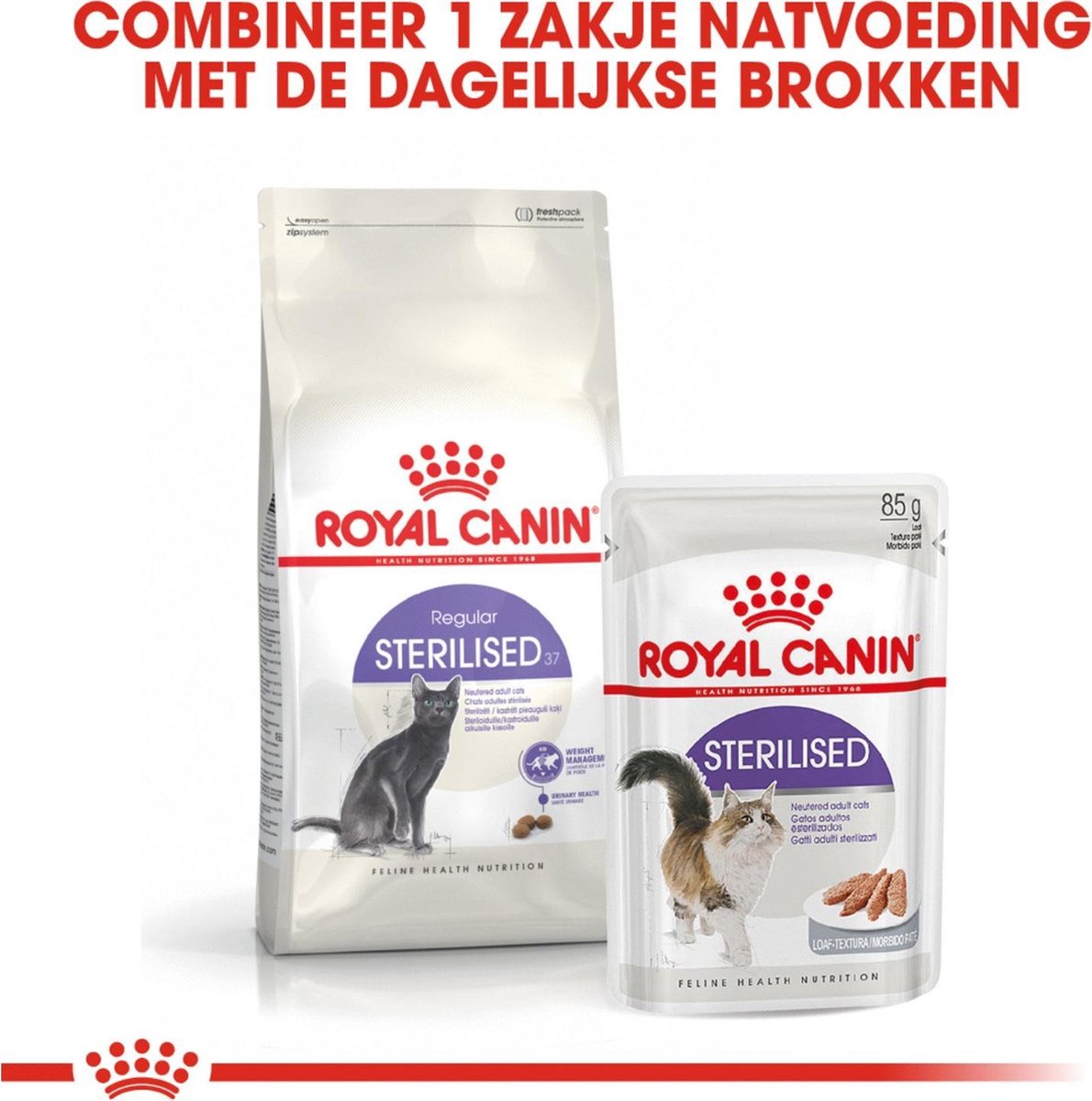  Royal Canin Sterilised 37 - Kattenvoer - 4 Kg