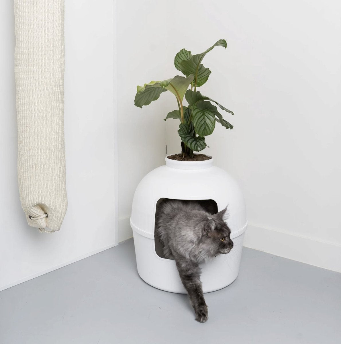  XXL Kattenbak – Verborgen Kattentoilet – Flower XXL Wit Voor Grote Katten Van RHRQuality