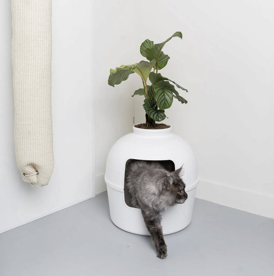  XXL Kattenbak – Verborgen Kattentoilet – Flower XXL Wit Voor Grote Katten Van RHRQuality