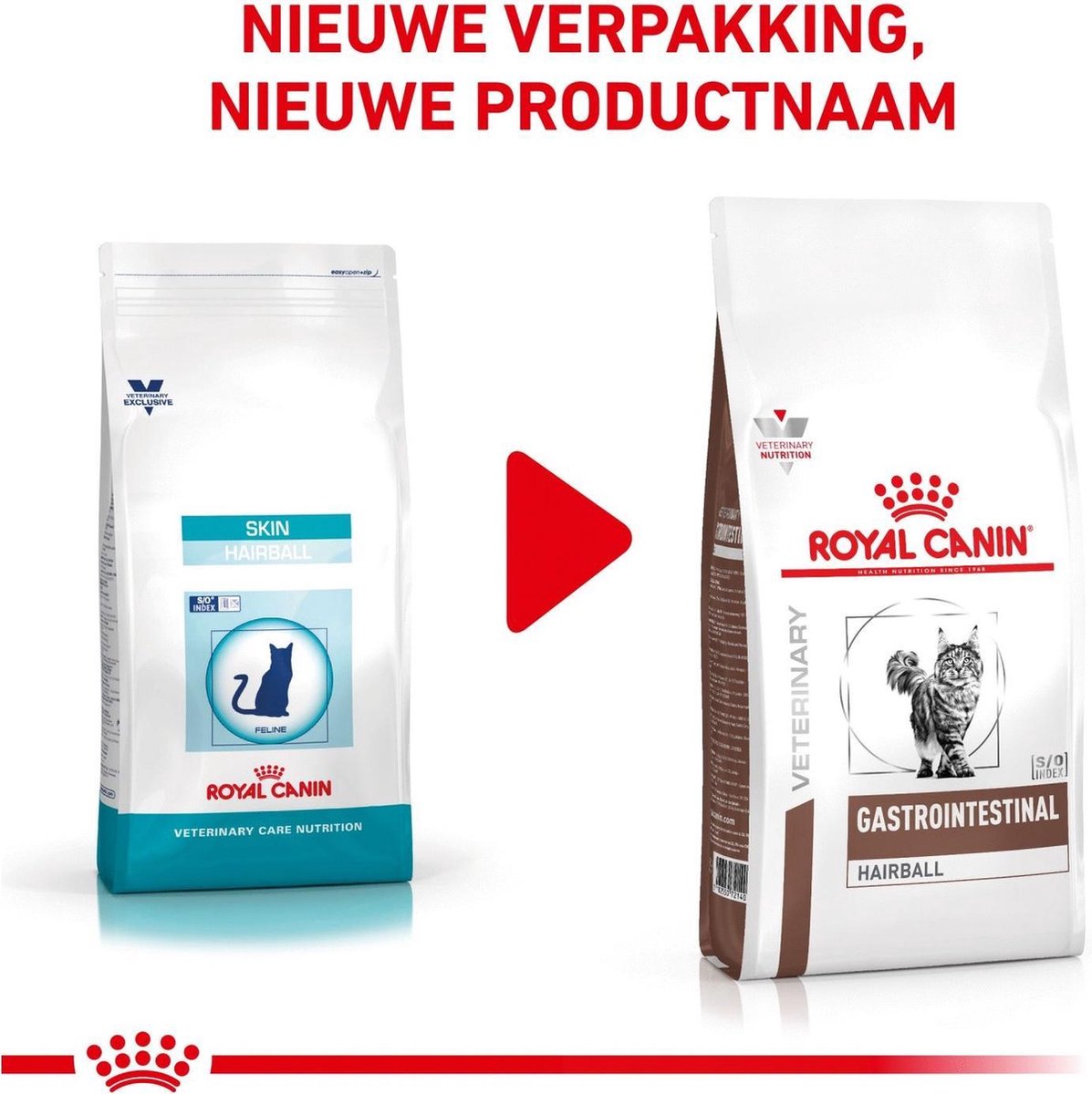  Royal Canin Gastro Intestinal Hairball - Kattenvoer Ter Ondersteuning Bij Haarballen 4 Kg