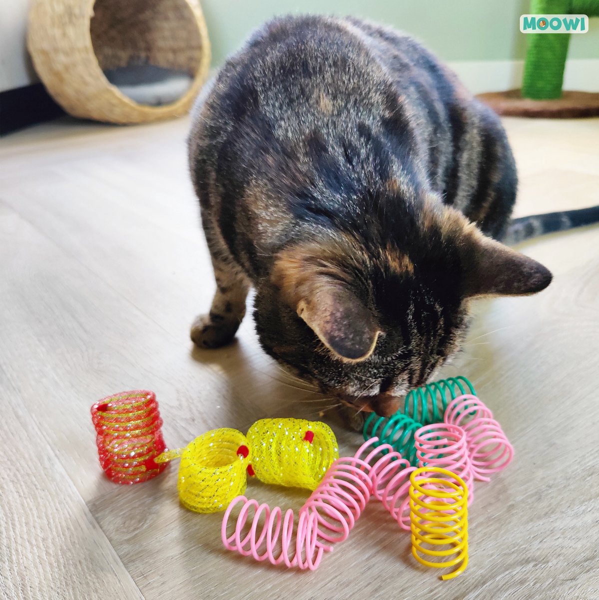  Moowi - Springveren 30 Stuks - Kat - Kattenveertjes - Kattenspeelgoed