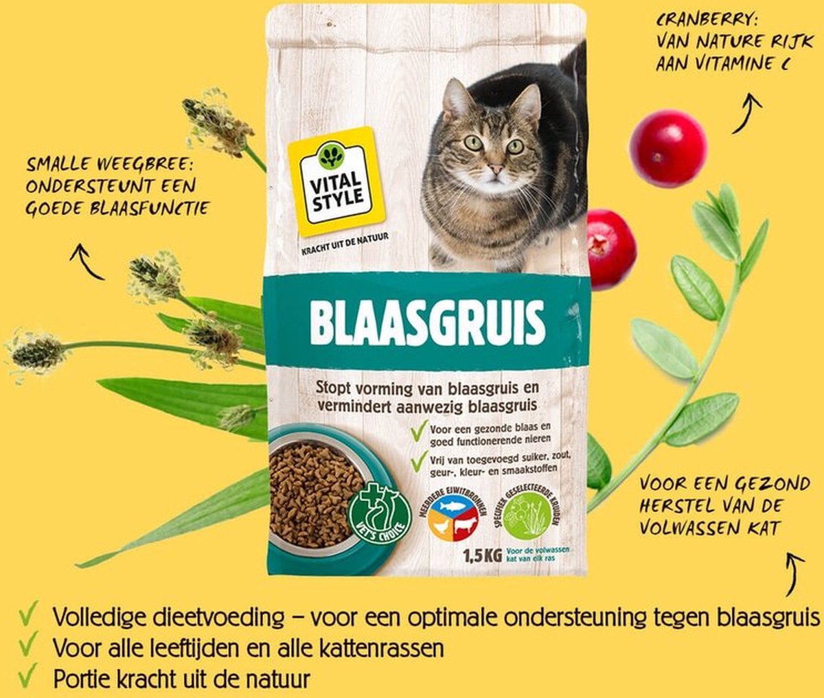  VITALstyle BLAASGRUIS - Kattenbrokken - 4 Kg