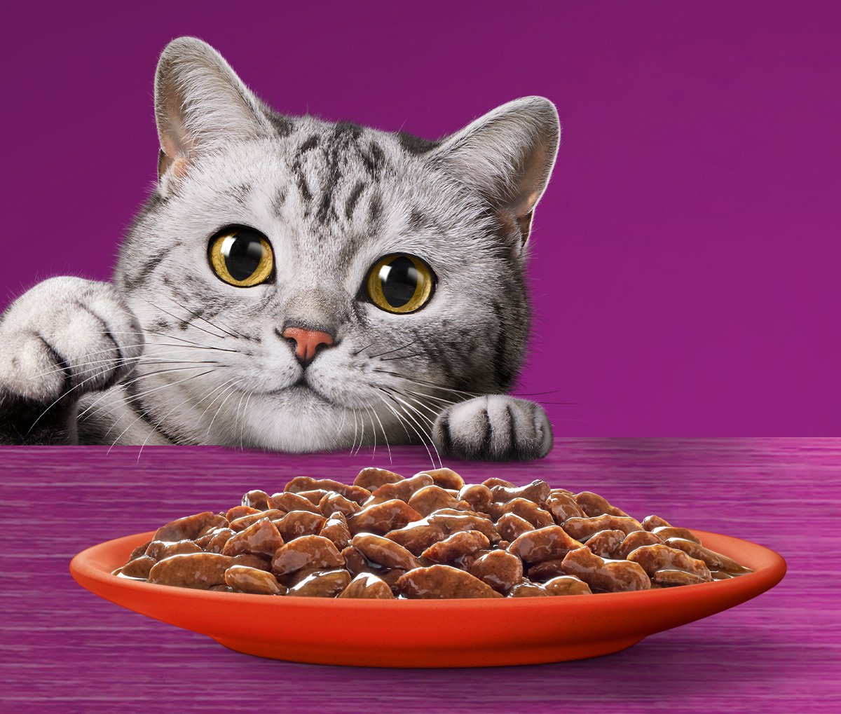  Whiskas 7+ Natvoer - Classic - Selectie In Saus - Maaltijdzakjes 48 X 85 G