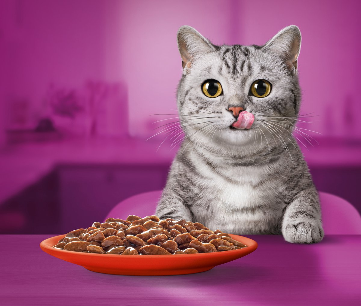  Whiskas 1+ Natvoer - Classic - Selectie In Saus - Maaltijdzakjes 40 X 85 G