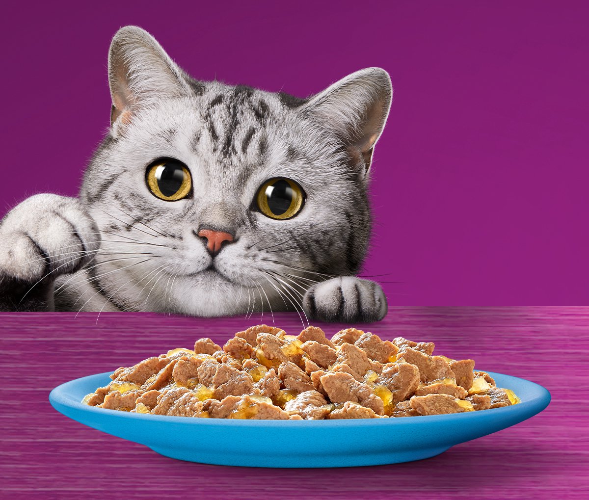  Whiskas 1+ Natvoer - Vis - Selectie In Gelei - Maaltijdzakjes 40 X 85 G