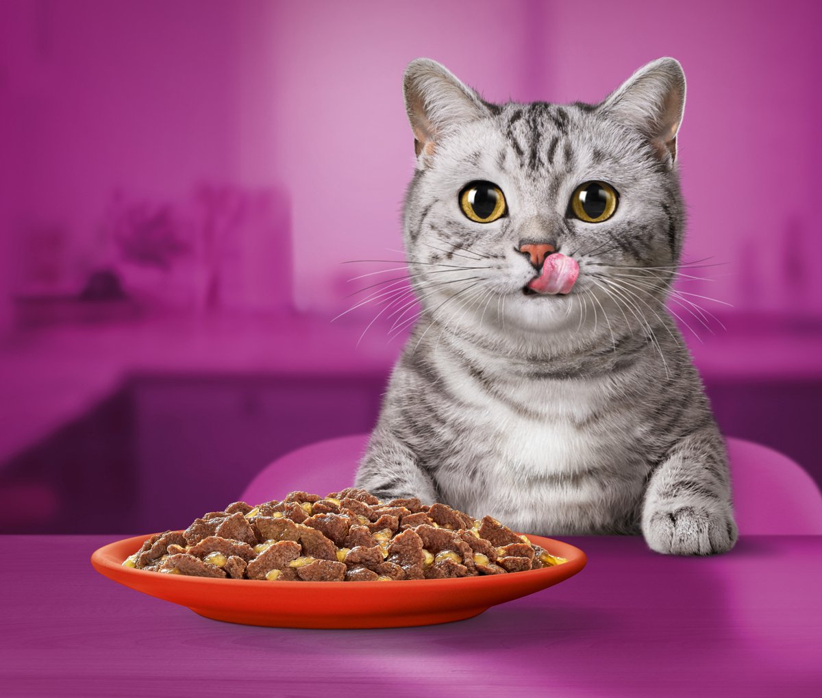  Whiskas 1+ Natvoer - Classic - Selectie In Gelei - Maaltijdzakjes 60 X 85 G