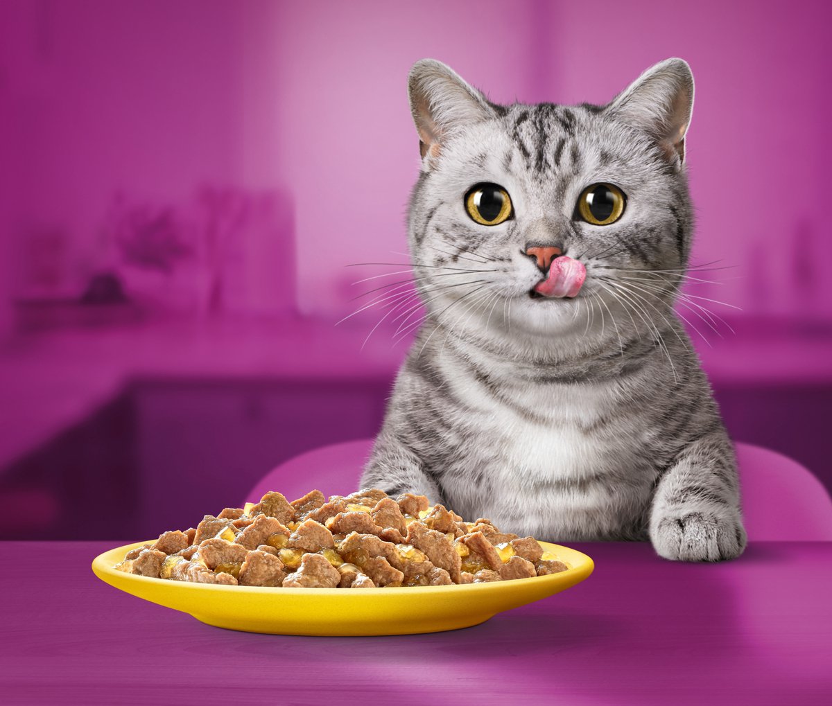  Whiskas 1+ Natvoer - Gevogelte - Selectie In Gelei - Maaltijdzakjes 80 X 85 G
