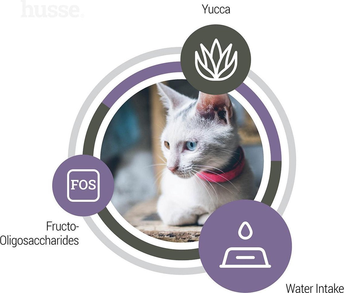  Husse Katt Urinary - Kattenvoer Blaasgruis - 2 Kg