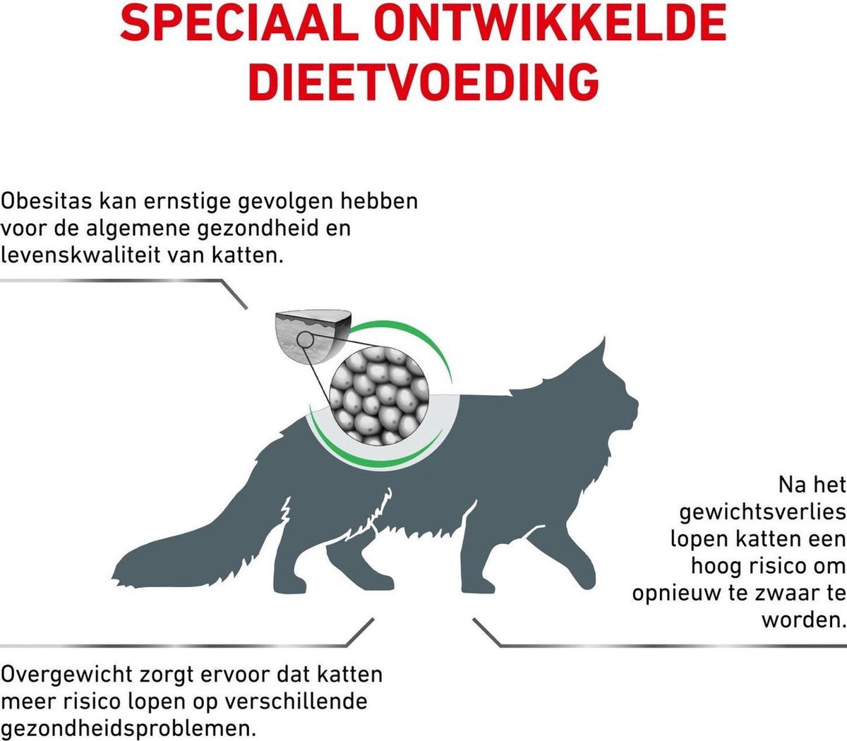  Royal Canin Satiety Weight Management - Kattenvoer - 6 Kg
