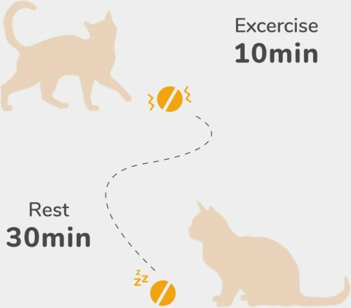  Cheerble Mini Ball 2.0 - Slimme Interactieve Zelf Rollende Bal Voor Katten - 3 Speelmodi - Kattenspeeltjes - USB Oplaadbaar - Rood