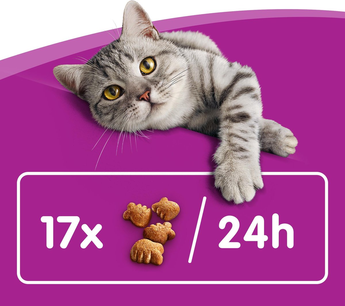  Whiskas Dentabites Kattensnoepjes - Kip - 8 X 40g
