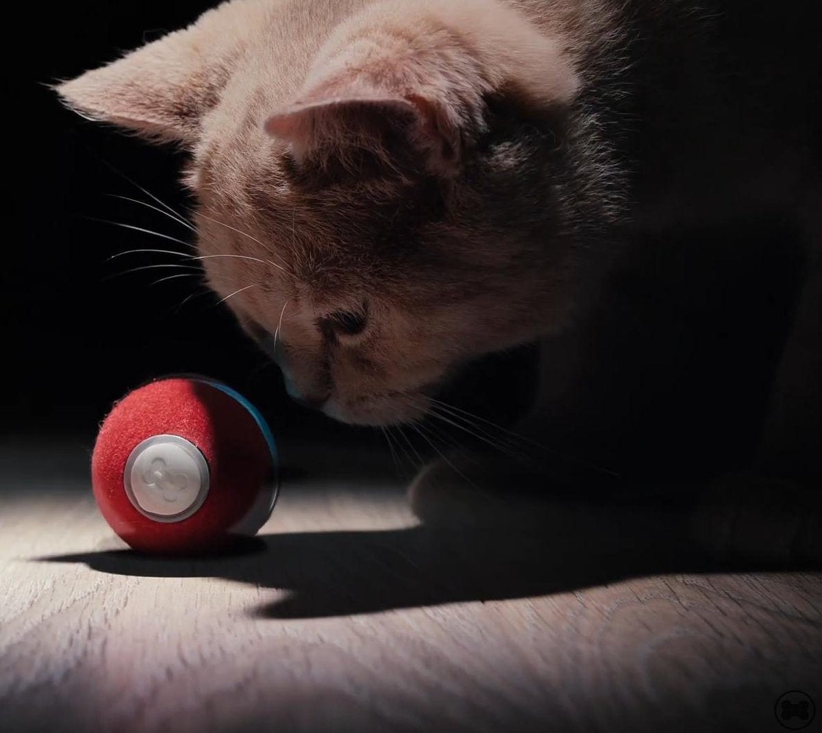  Cheerble Mini Ball 2.0 - Slimme Interactieve Zelf Rollende Bal Voor Katten - 3 Speelmodi - Kattenspeeltjes - USB Oplaadbaar - Rood