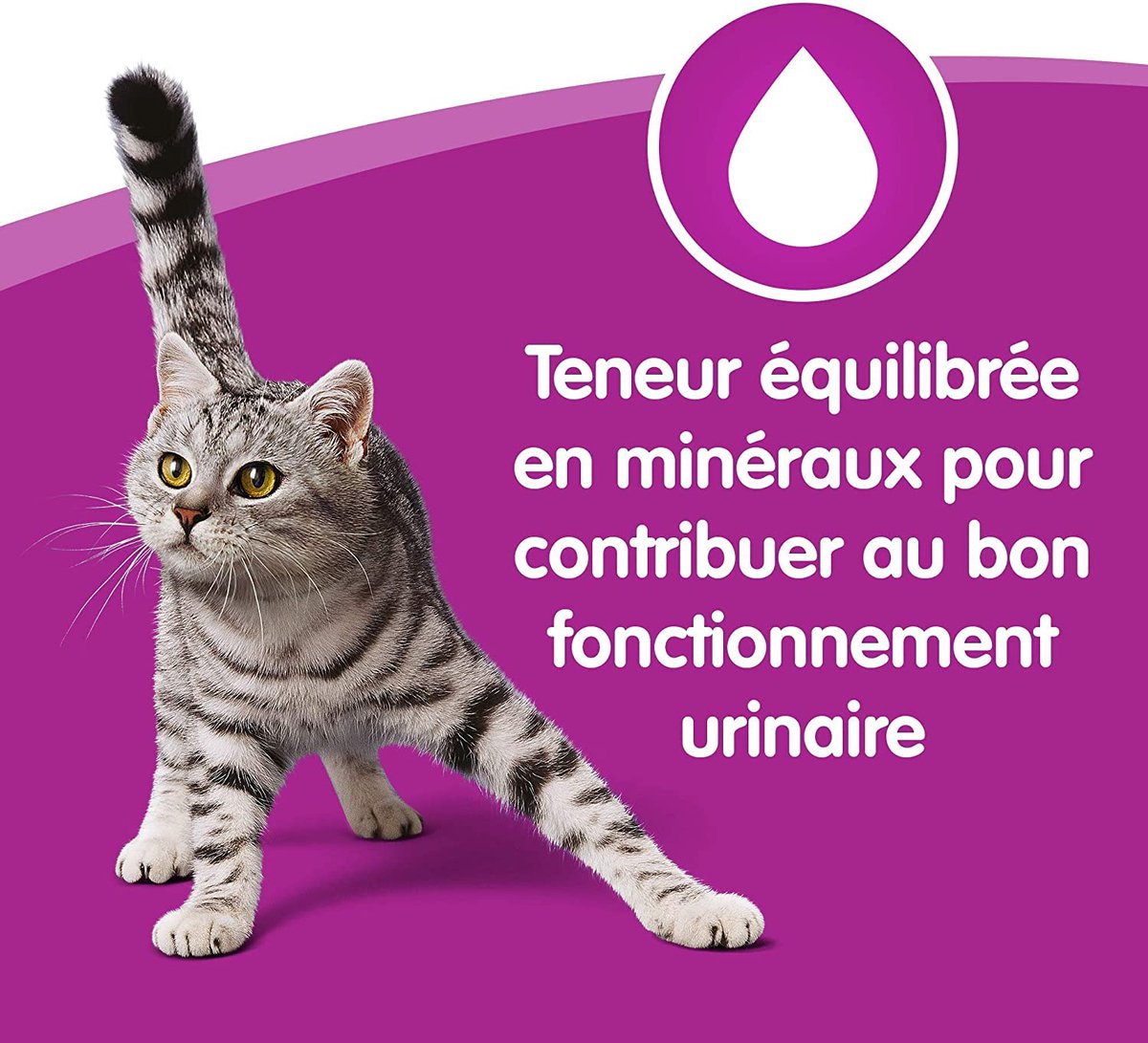  Whiskas 1 - Kattenvoer - Gehydrateerd - In Verschillende Smaken - 84 Stuks (84 X 100 G)