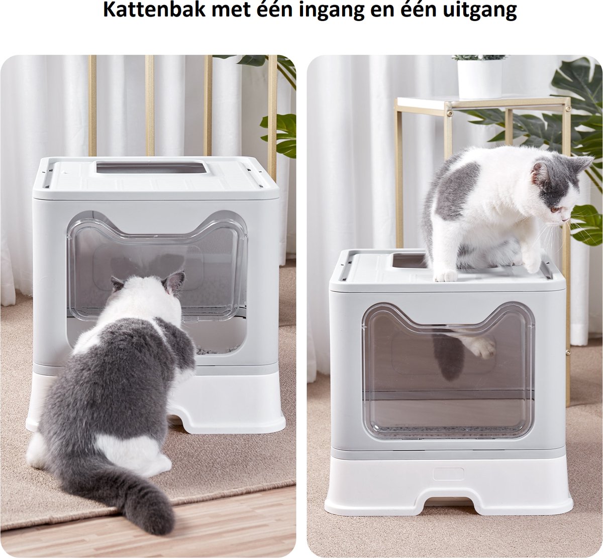  LooMar Kattenbak Groot - Kattenbak XXL - Kattenbak Grote Katten - Opvouwbaar - Grijs