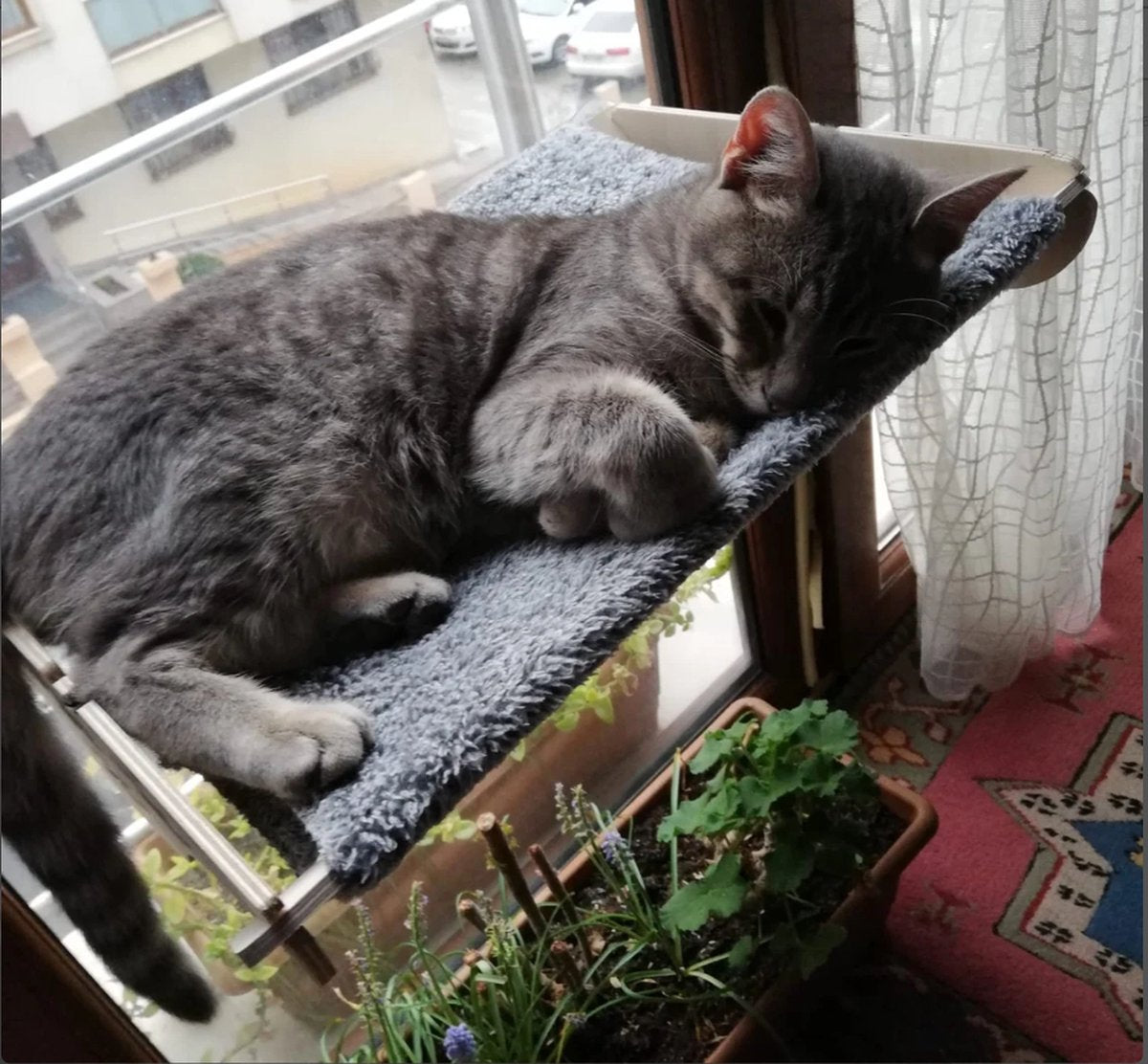 Merkloos Arnillo - Kattenhangmat - Kattenhangmat Raam - Kattenmand - Kattenbed - Kattenbed Raam - Kat Decoratie - Houten Kattenhangmat