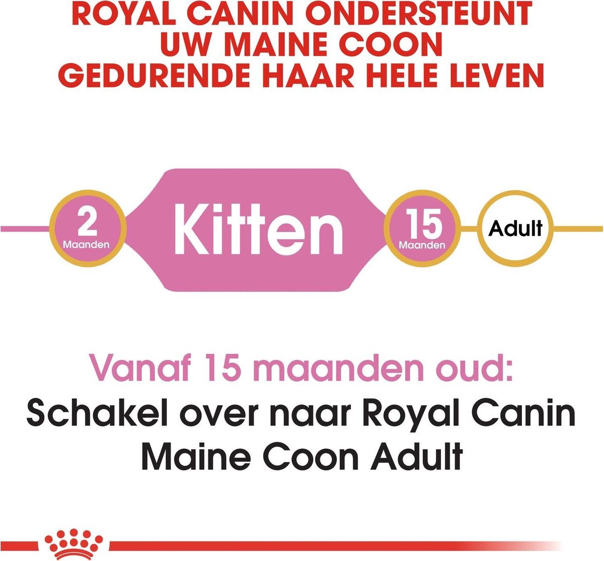  Royal Canin Maine Coon Kitten - Kattenvoer - 4 Kg