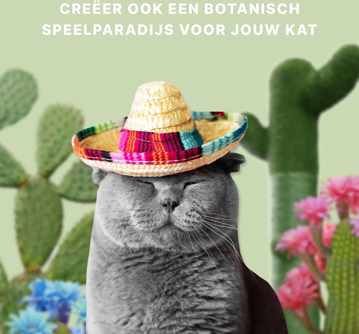  Krabpaal Voor Katten - Cactus - Met Kattenspeeltje - H 65 Cm