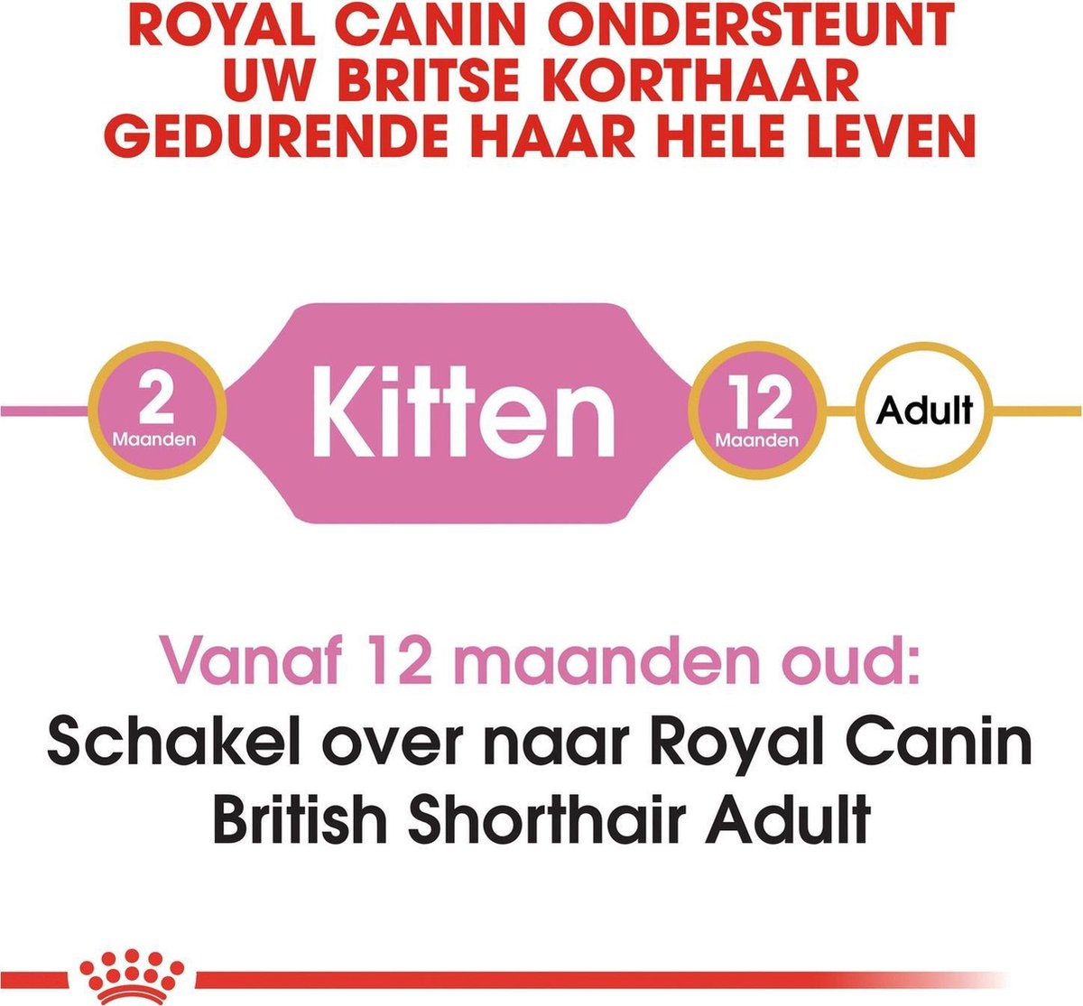  Royal Canin British Shorthair Kitten - 2 Kg