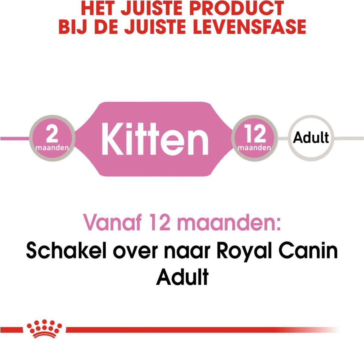  Royal Canin Kitten In Jelly - Kattenvoer - 1020 G