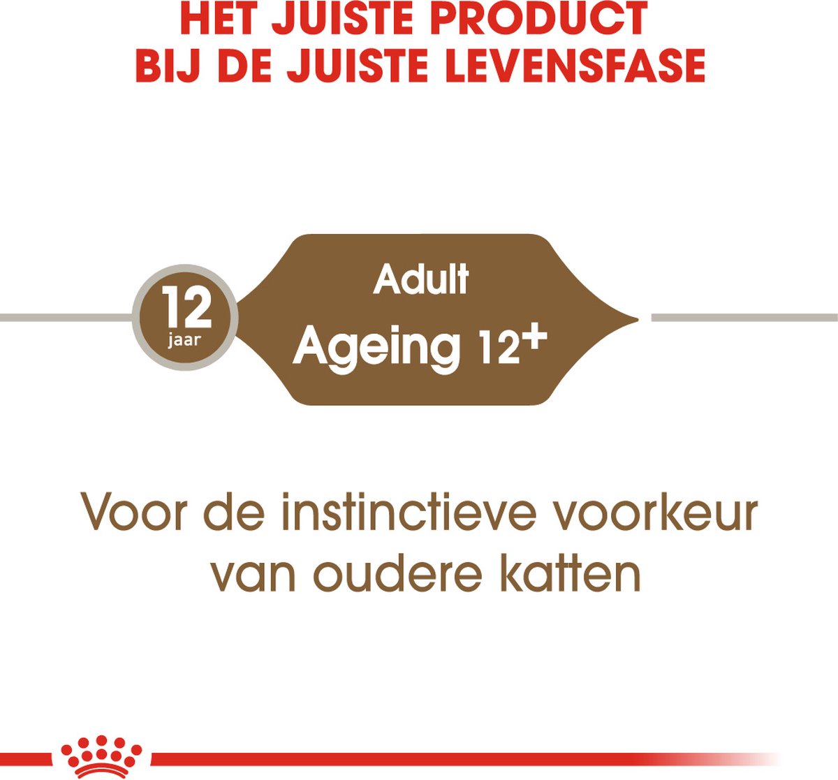  Royal Canin Wet Ageing 12+ (12X85 GR)