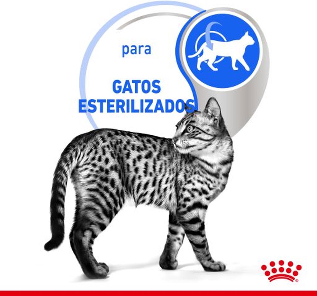  Royal Canin Feline Sterilised Indoor In Gravy