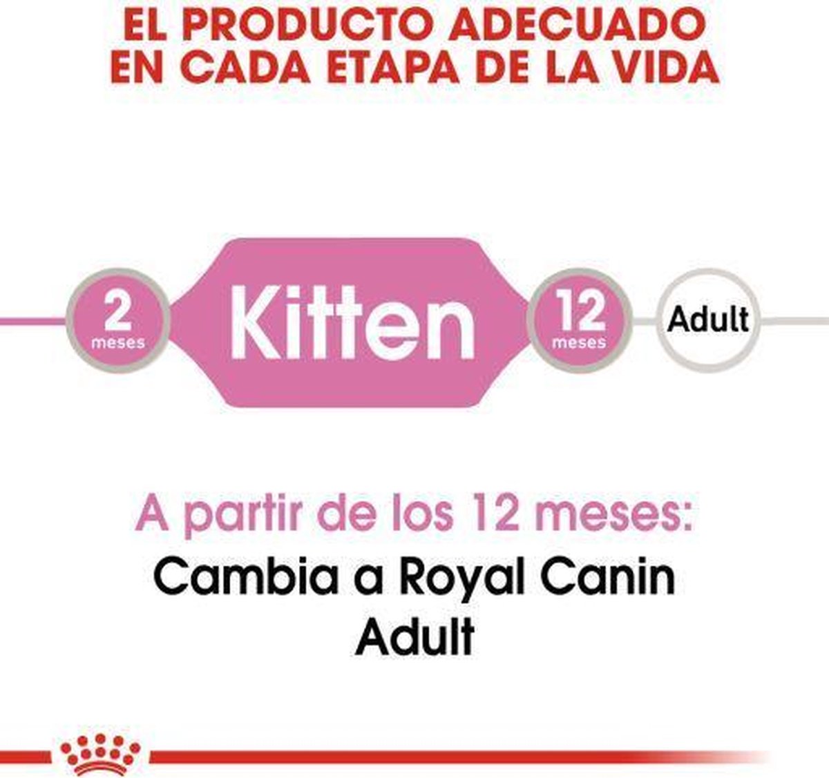  Royal Canin Kitten In Jelly - Kattenvoer - 1020 G