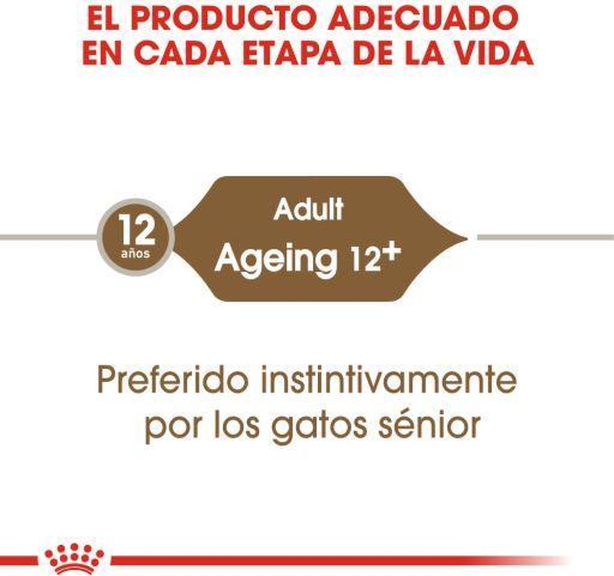  Royal Canin Wet Ageing 12+ (12X85 GR)