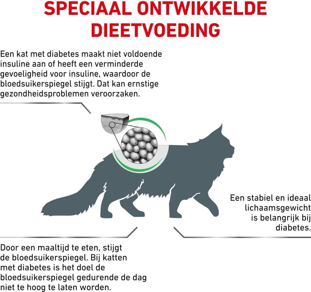  Royal Canin Diabetic - Kattenvoer - 3,5 Kg