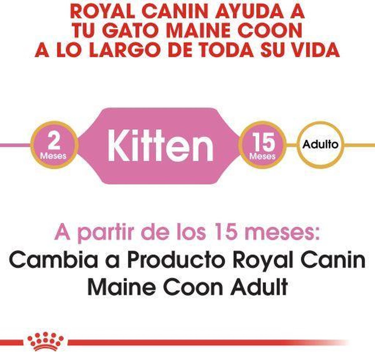  Royal Canin Maine Coon Kitten - Kattenvoer - 4 Kg