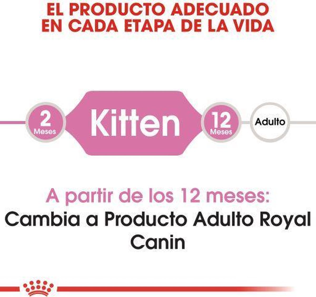  Royal Canin Kitten - Kittenvoer - 2 Kg