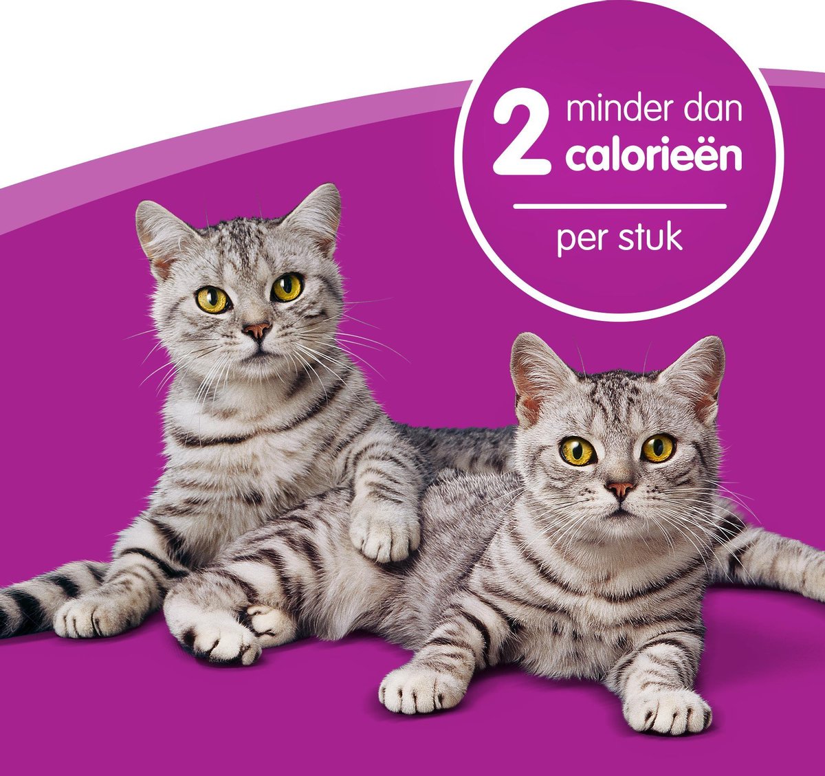  Whiskas Dentabites Kattensnoepjes - Kip - 8 X 40g