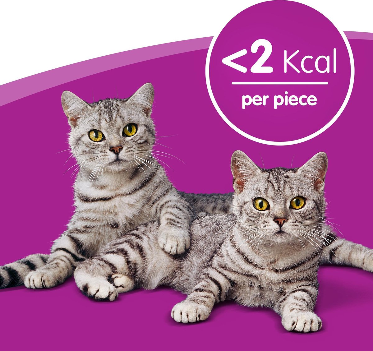  Whiskas Temptations Kattensnacks - Kip En Kaas - 8 X 60 Gr