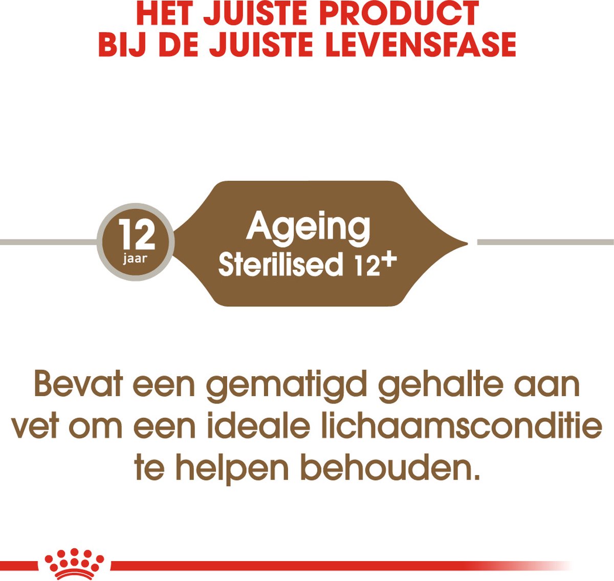  Royal Canin Ageing Sterilised 12+ - Kattenvoer - 2 Kg