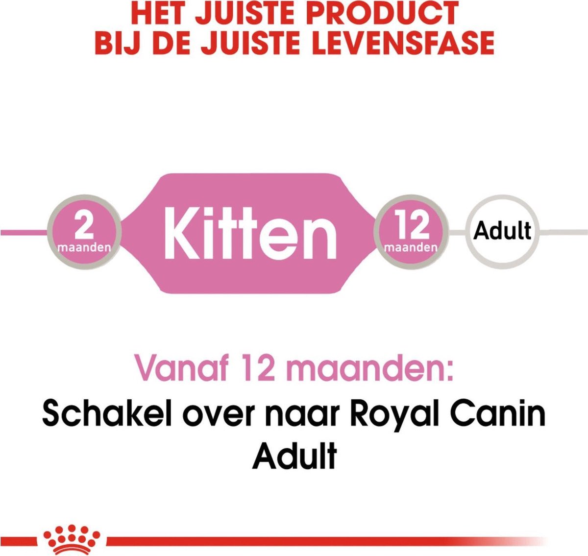  Royal Canin Wet Kitten (12X85 GR)