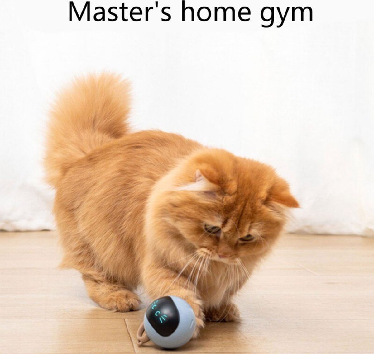  Otiume Interactieve Speelbal - Slimme Interactieve Jaag Speeltje Voor Katten - Kattenspeeltjes - Intelligente Jaagbal - AI -USB Oplaadbaar - LED - Blauw