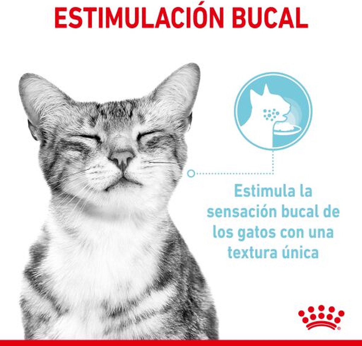  Royal Canin Sensory Multipack Mix - In Gravy - Kattenvoer - 12x85 G