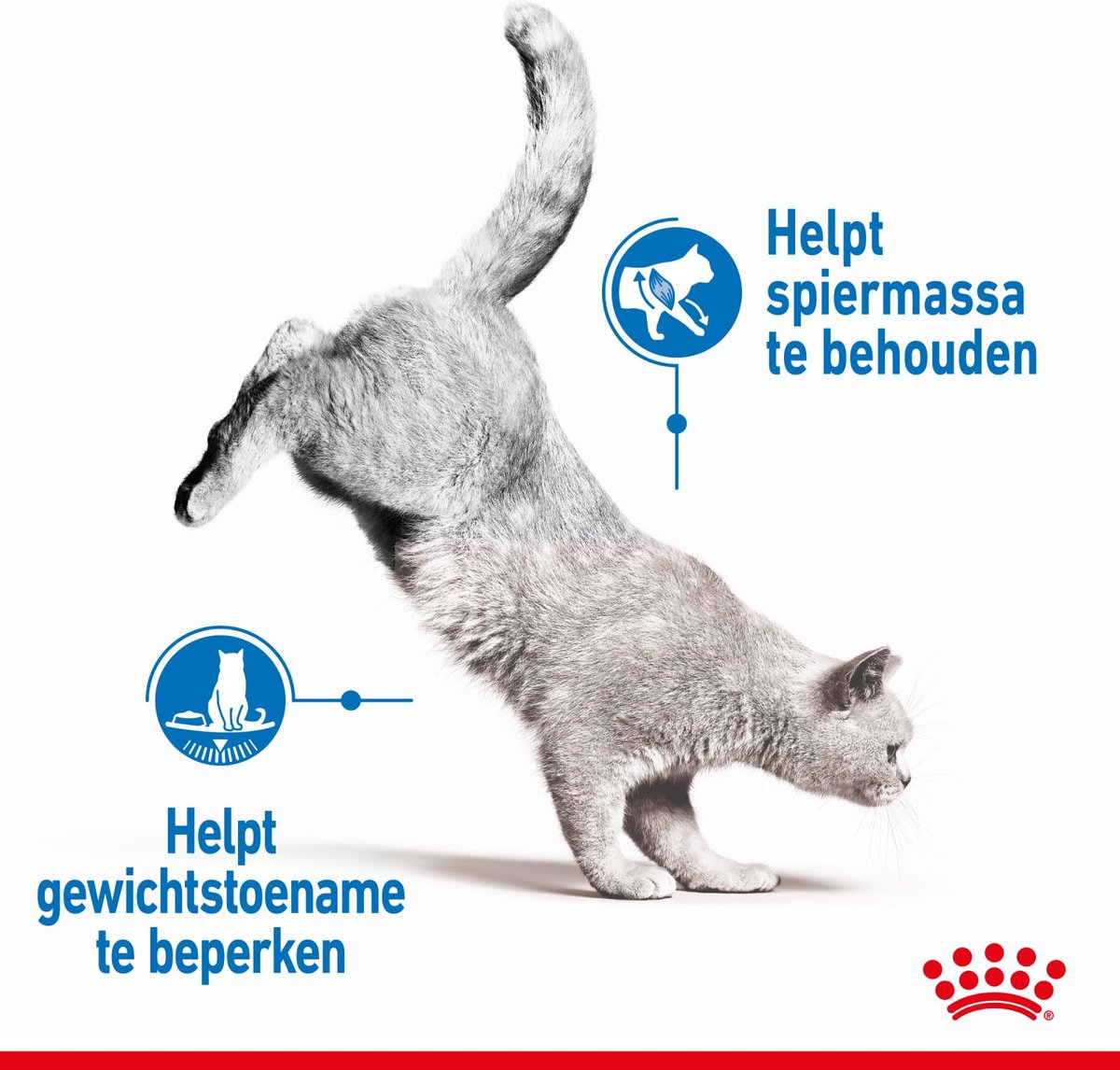  Royal Canin Light Weight Care - 3 Kg