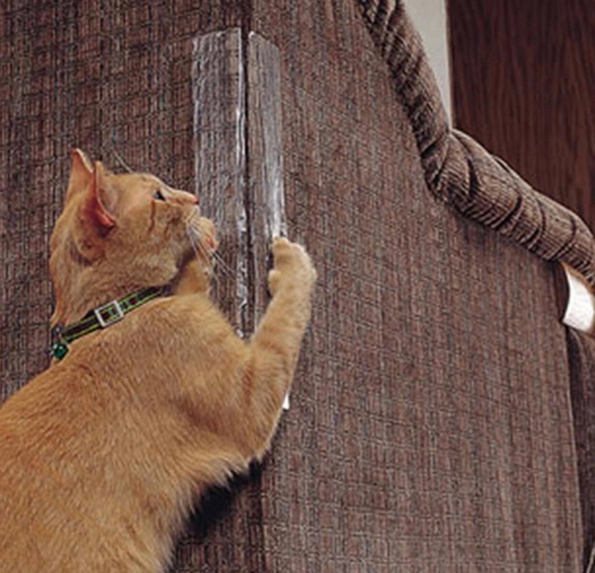  Bescherming Tegen Krab Schade Van Katten - 2 Stuks - Konijnen - Honden - Meubel Bescherming - Cat Scratchers - Furniture - Couch Protector - Katten Nagels - Huisdieren Veiligheid - Meubel - Interieur