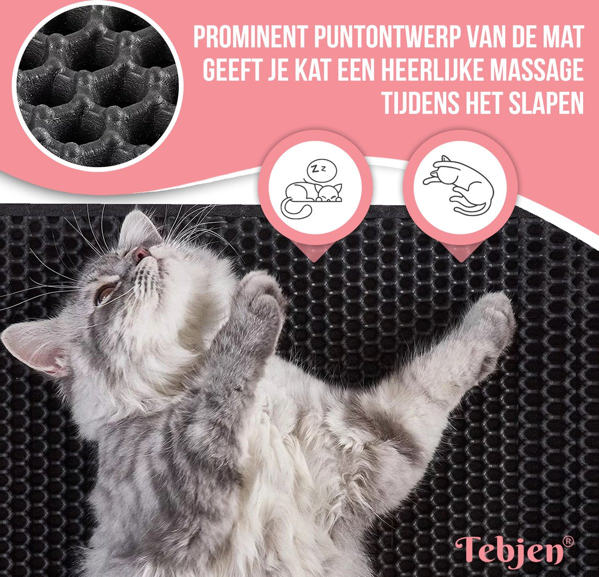  TEBJEN Kattenbakmat – Kattenbak Mat Grit Opvanger - Schoonloop Katten Mat – Dubbele Waterdichte Laag – Uitloopmat Kattenbak – Kattenbak Accessoires - Met Speelgoedmuisje En Schepje - 40x50cm