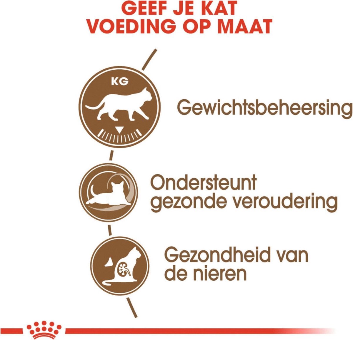  Royal Canin Ageing Sterilised 12+ - Kattenvoer - 2 Kg