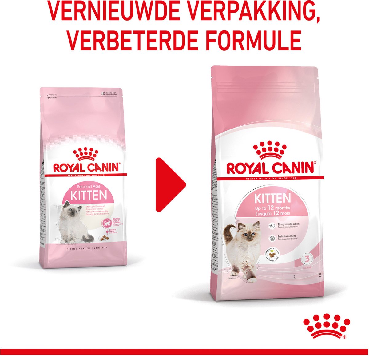  Royal Canin Kitten - Kittenvoer - 4 Kg