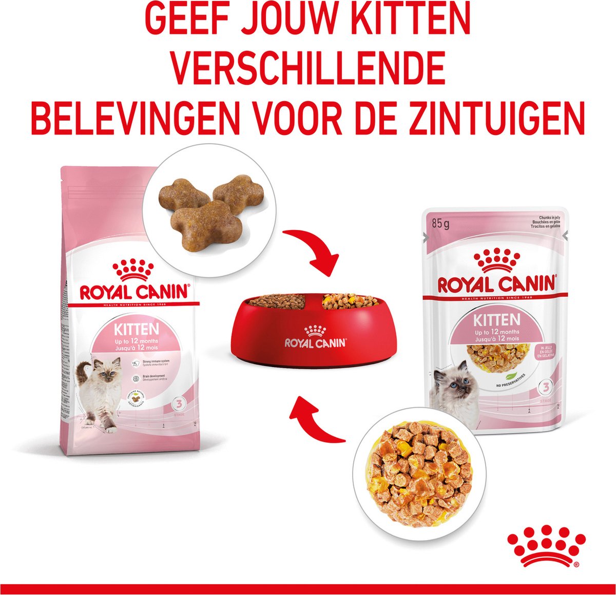  Royal Canin Kitten In Jelly - Kattenvoer - 1020 G