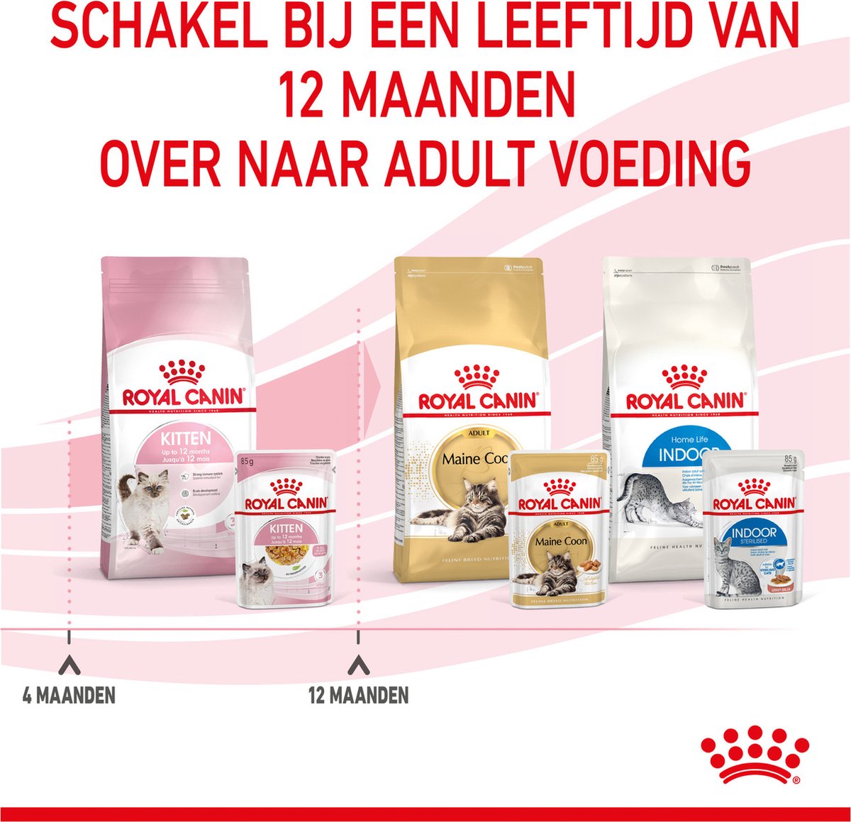  Royal Canin Kitten In Jelly - Kattenvoer - 1020 G