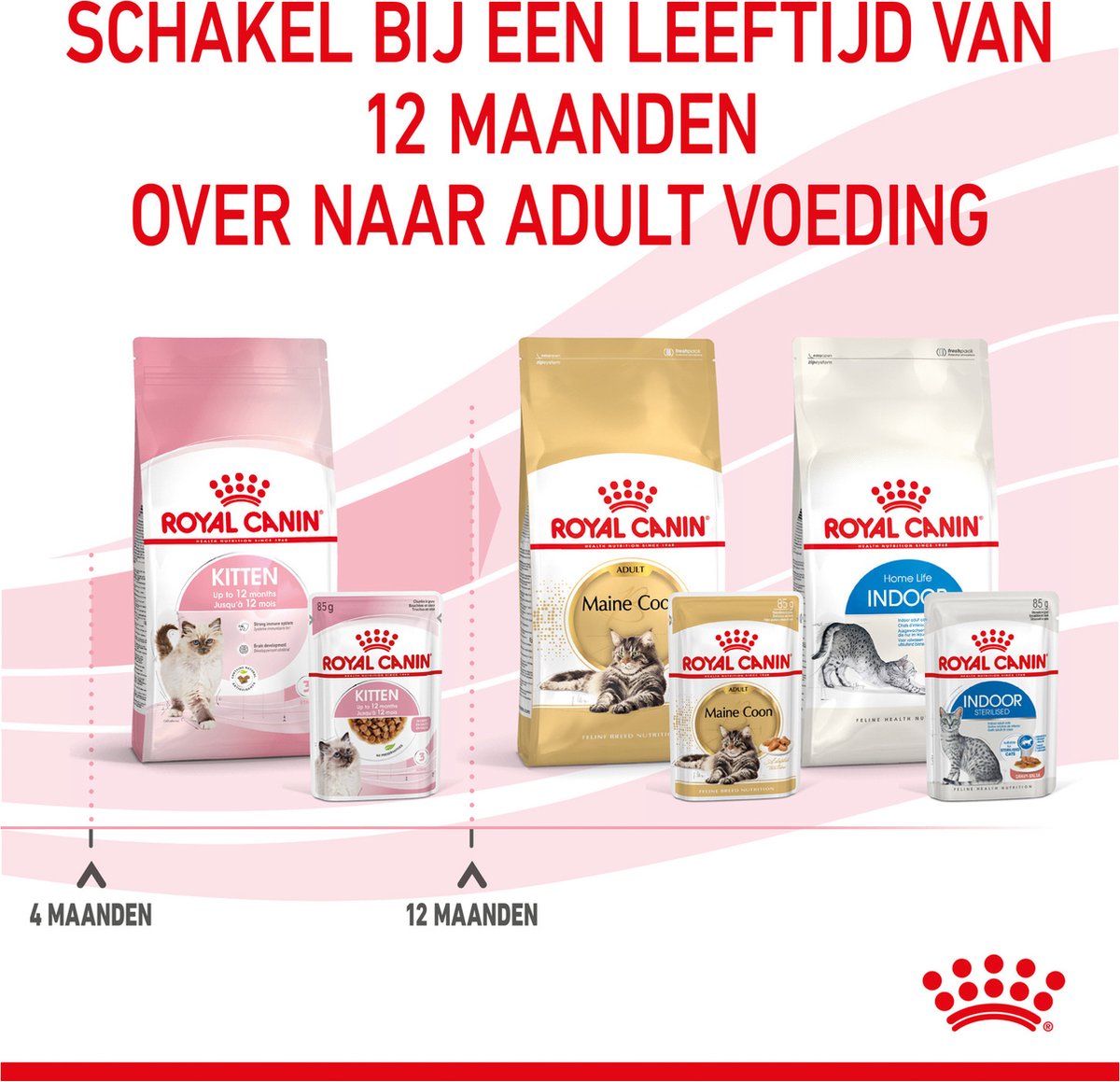  Royal Canin Wet Kitten (12X85 GR)