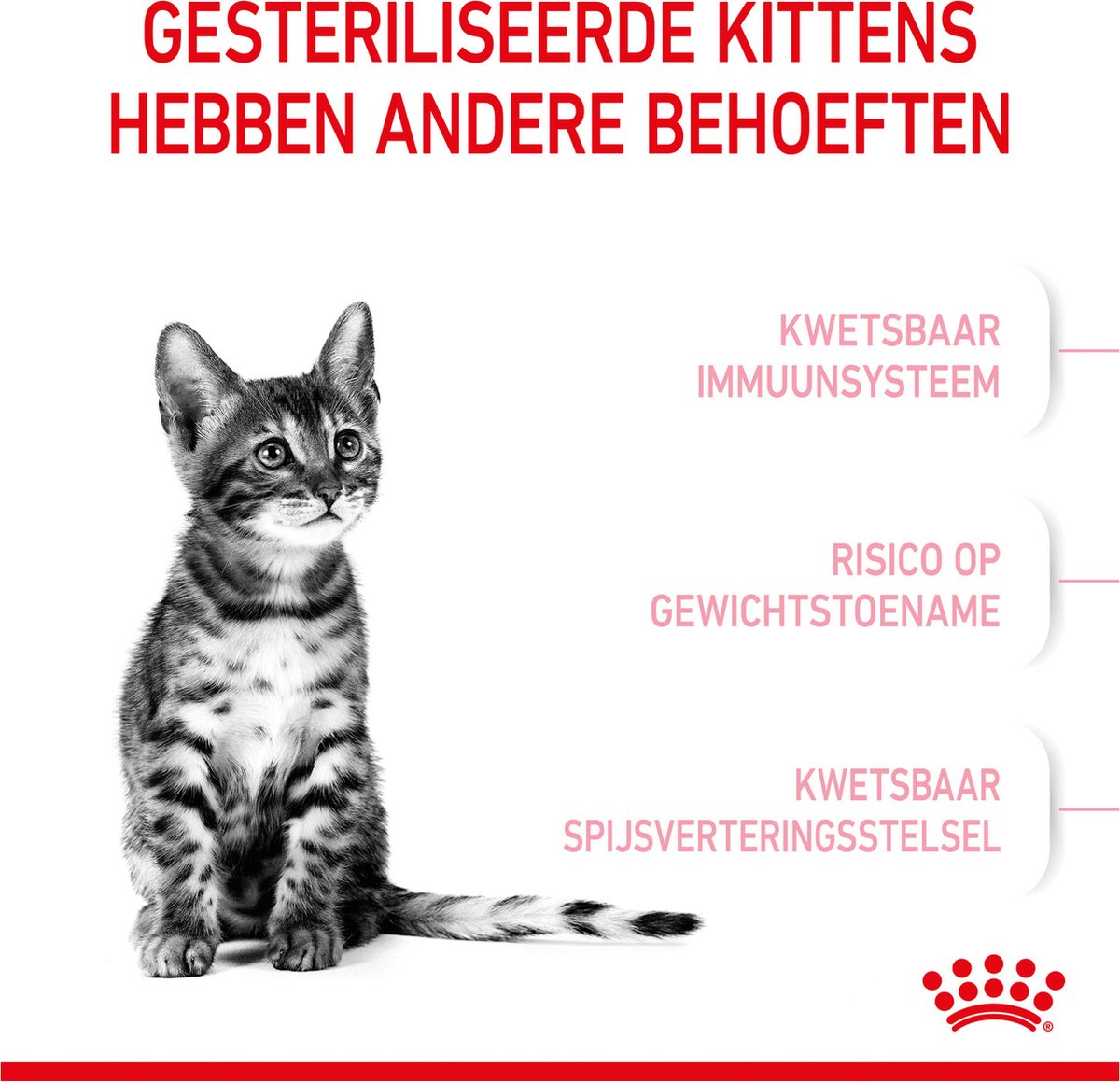  Royal Canin Kitten Sterilised - Kattenvoer - 3,5 Kg