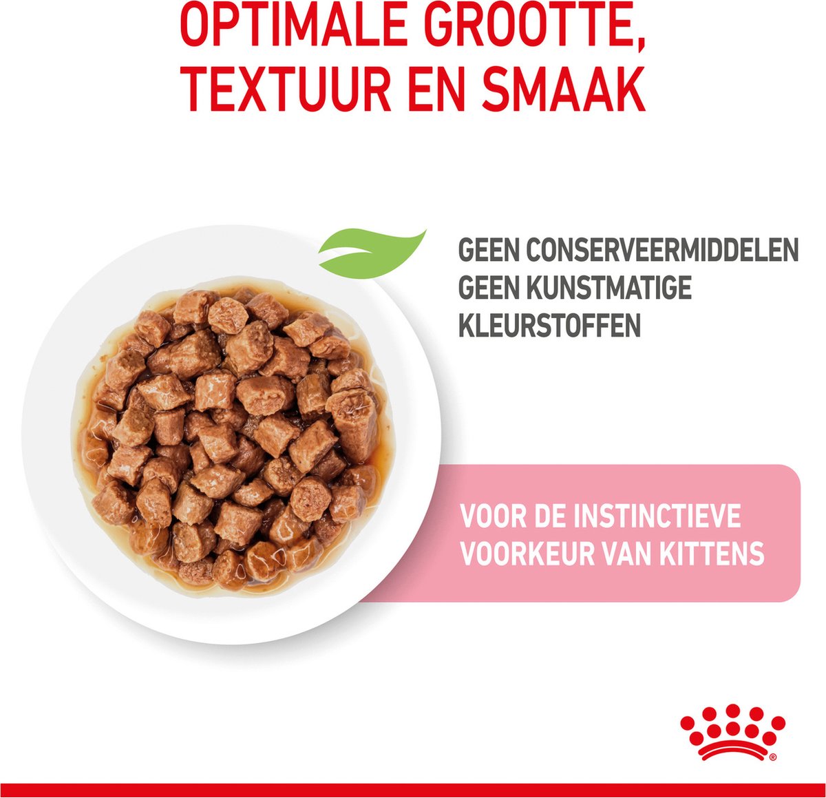  Royal Canin Wet Kitten (12X85 GR)