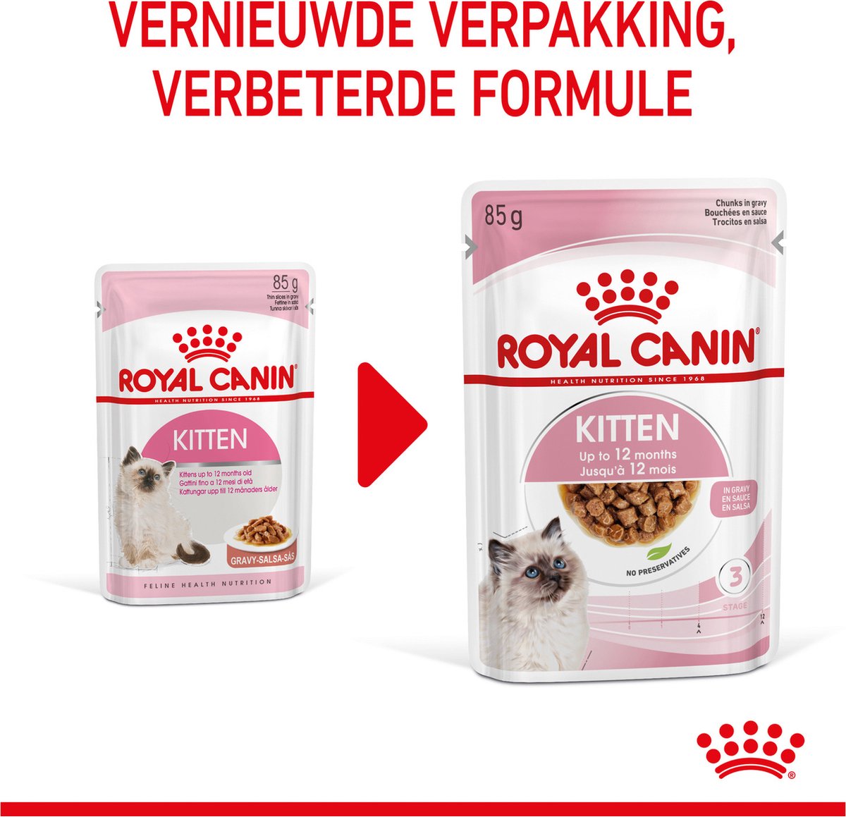  Royal Canin Wet Kitten (12X85 GR)