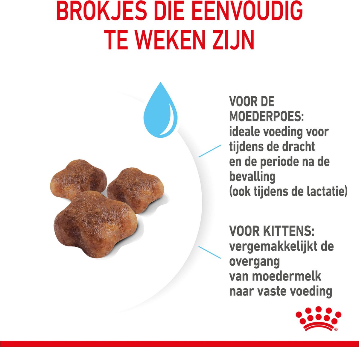 Royal Canin Mother &amp; Babycat - Kattenvoer - 4 Kg