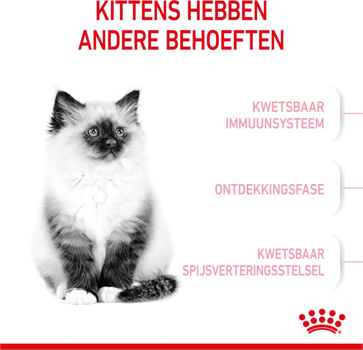  Royal Canin Kitten - Kittenvoer - 2 Kg