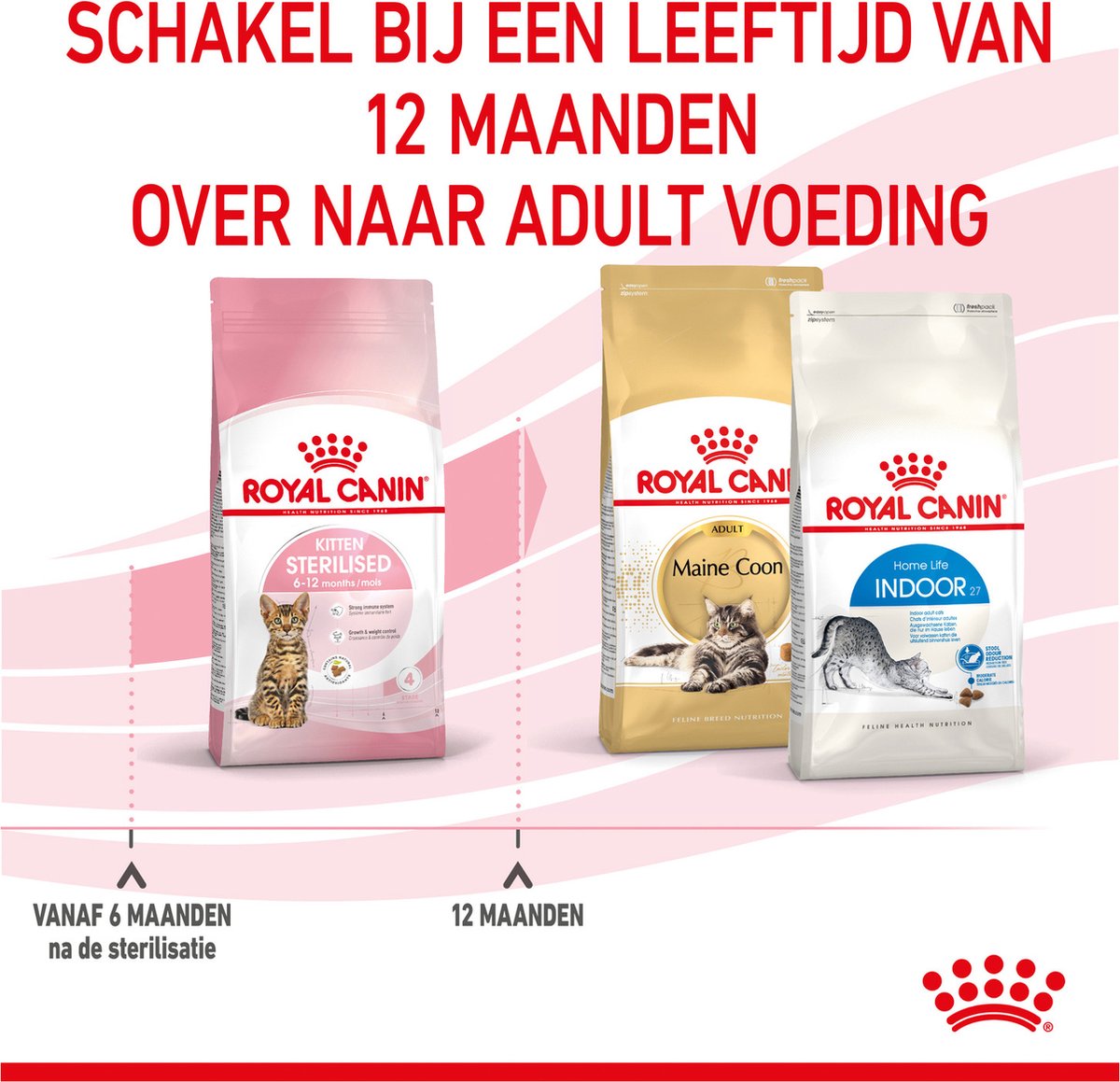  Royal Canin Kitten Sterilised - Kattenvoer - 3,5 Kg